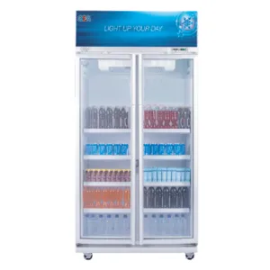DISPLAY COOLER EXPO-600AH/CN (GEA)