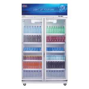 DISPLAY COOLER EXPO-1050AH/CN (GEA)